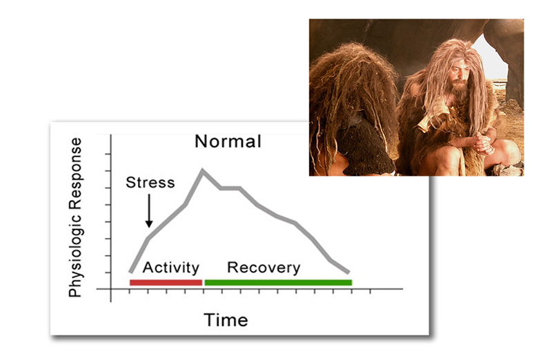 stress_abb_1
